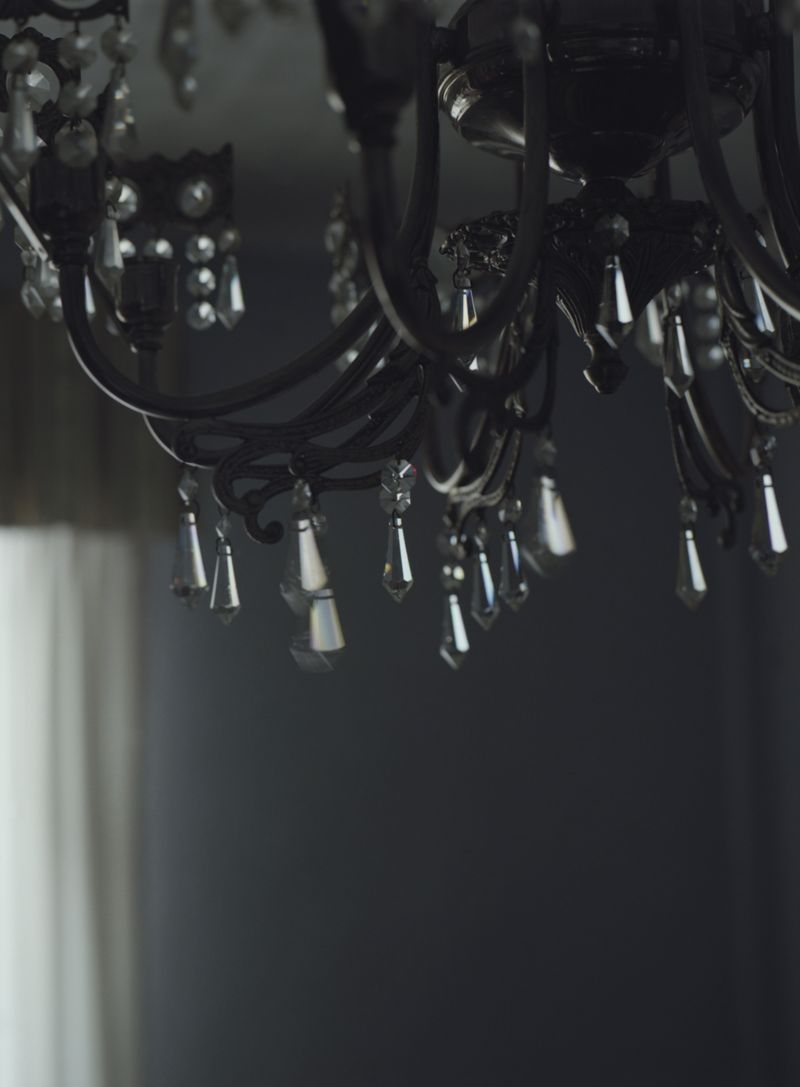 © Alfonso Almendros - Image from the Study About The Construction Of A Garden photography project