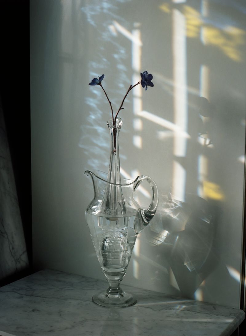 © Alfonso Almendros - Image from the Study About The Construction Of A Garden photography project