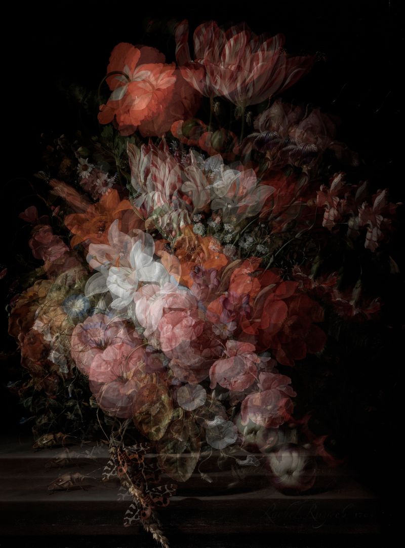 © Alfonso Almendros - Image from the Study About The Construction Of A Garden photography project