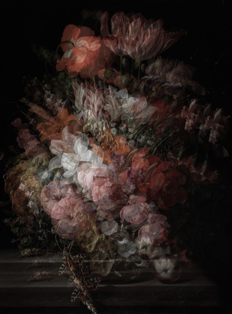 © Alfonso Almendros - Image from the Study About The Construction Of A Garden photography project