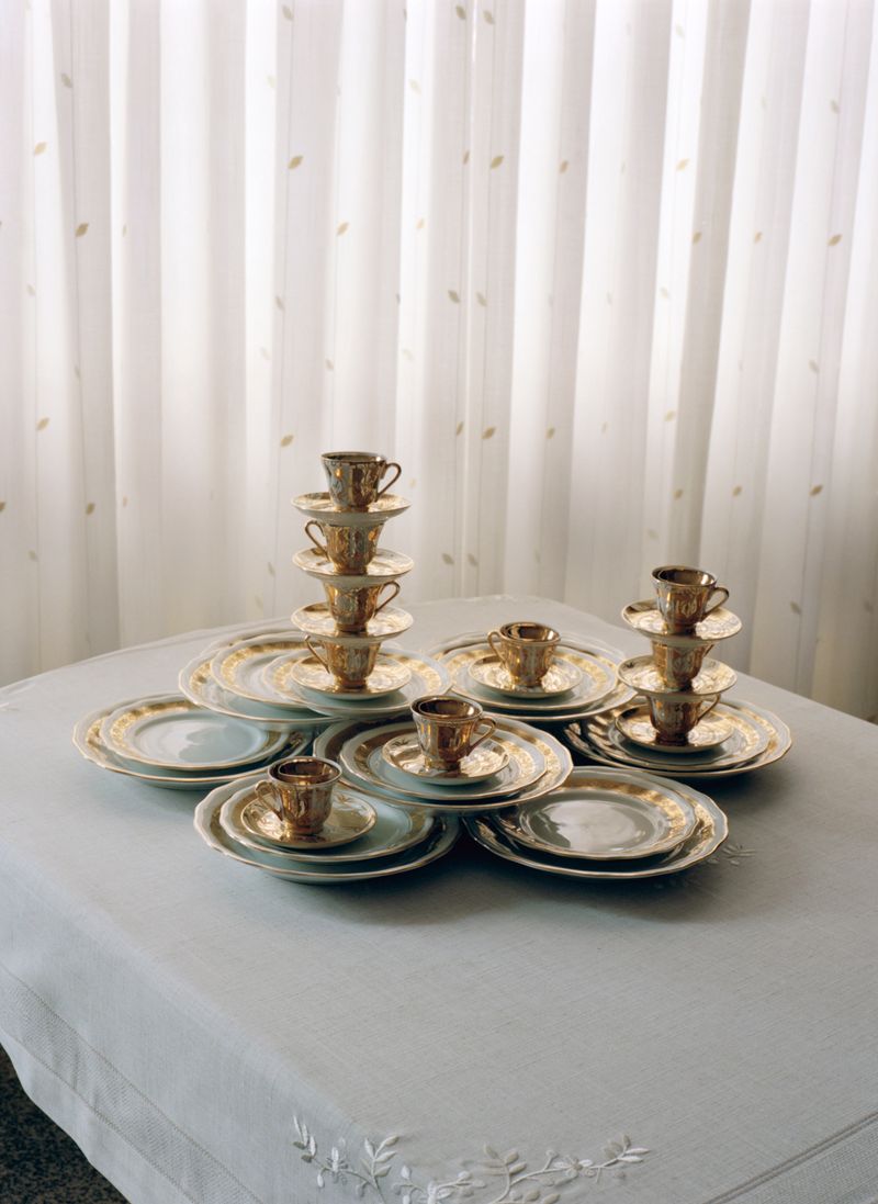 © Alfonso Almendros - Image from the Study About The Construction Of A Garden photography project