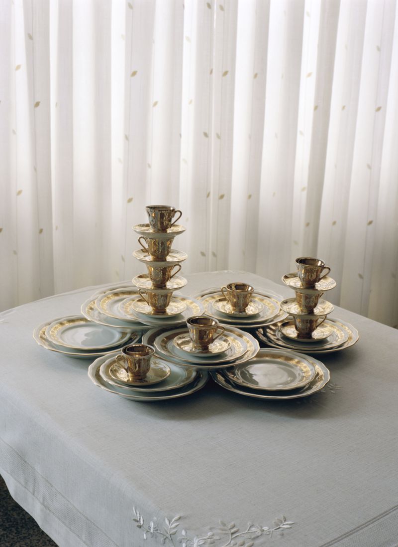 © Alfonso Almendros - Image from the Study About The Construction Of A Garden photography project