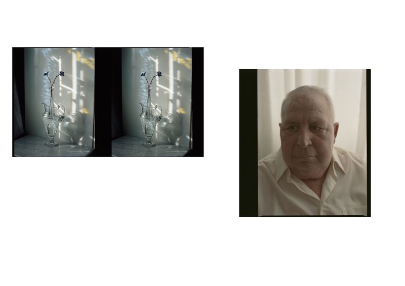 © Alfonso Almendros - Image from the Study on the construction of a garden photography project