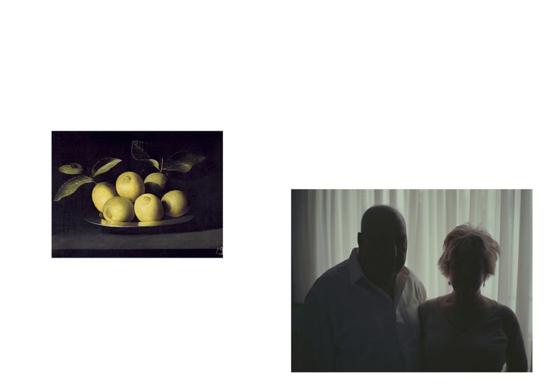 © Alfonso Almendros - Image from the Study on the construction of a garden photography project