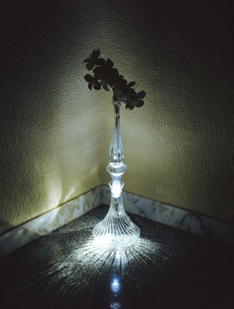 © Alfonso Almendros - Image from the Study on the construction of a garden photography project