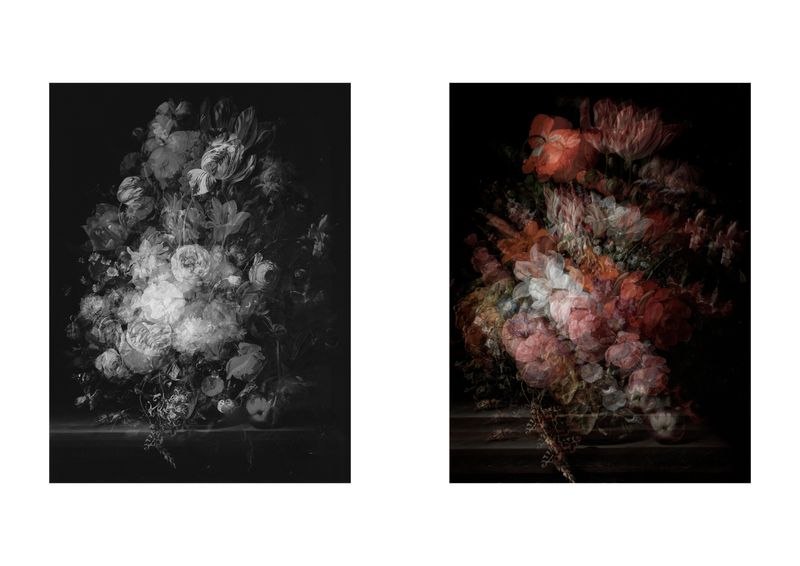 © Alfonso Almendros - Image from the Study on the construction of a garden photography project