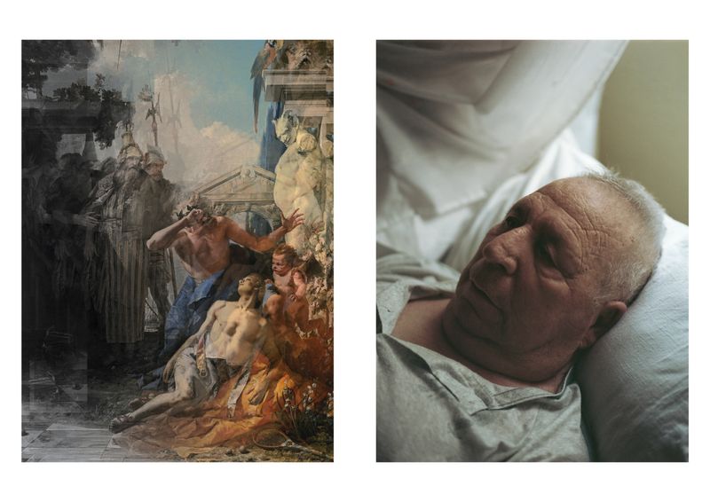 © Alfonso Almendros - Image from the Study on the construction of a garden photography project