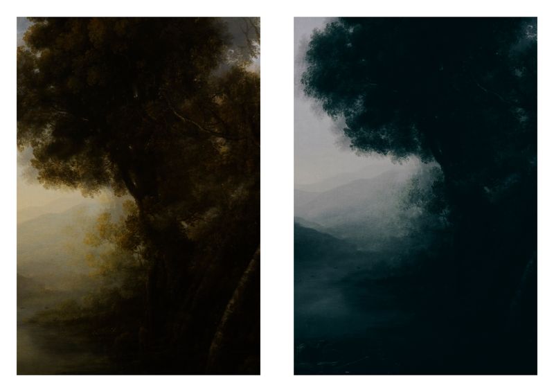 © Alfonso Almendros - Image from the Study on the construction of a garden photography project