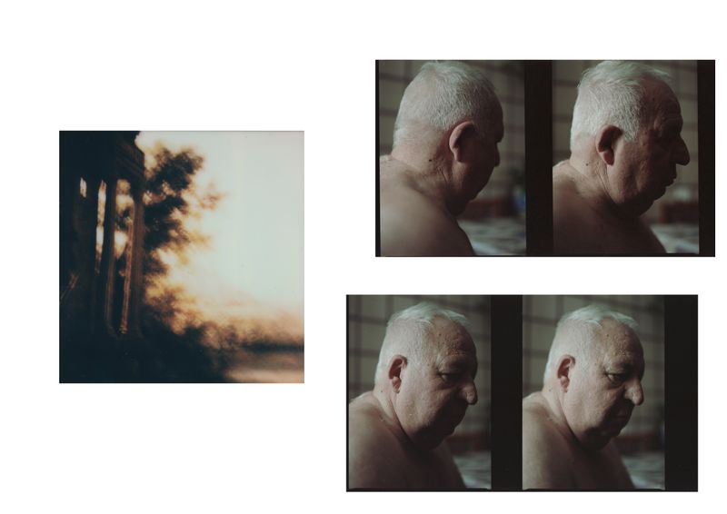 © Alfonso Almendros - Image from the Study on the construction of a garden photography project