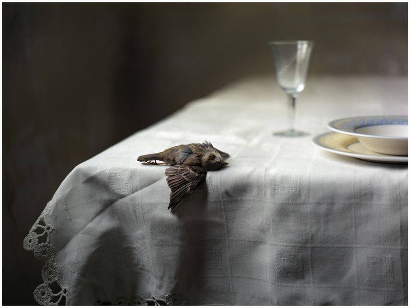 © Alfonso Almendros - Image from the Family Reflections photography project