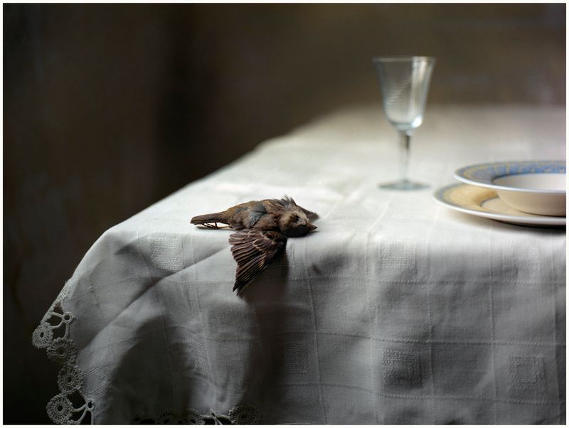 © Alfonso Almendros - Image from the Family Reflections photography project