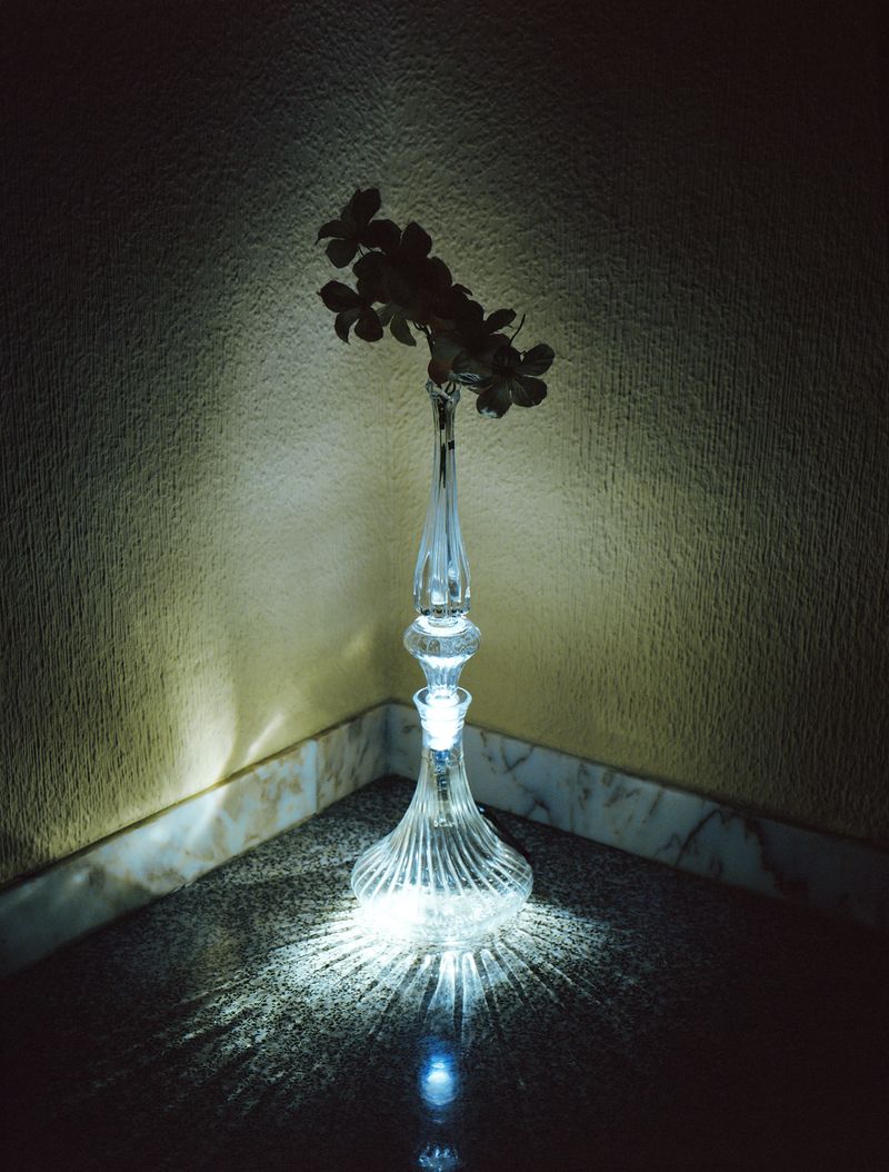 © Alfonso Almendros - Image from the Study on the construction of a garden photography project