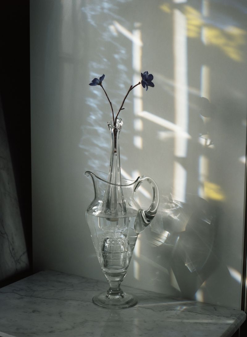 © Alfonso Almendros - Image from the Study on the construction of a garden photography project