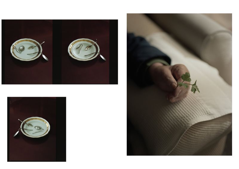 © Alfonso Almendros - Image from the Study on the construction of a garden photography project