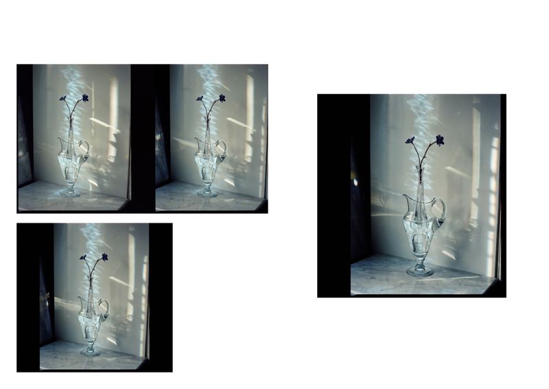 © Alfonso Almendros - Image from the Study on the construction of a garden photography project