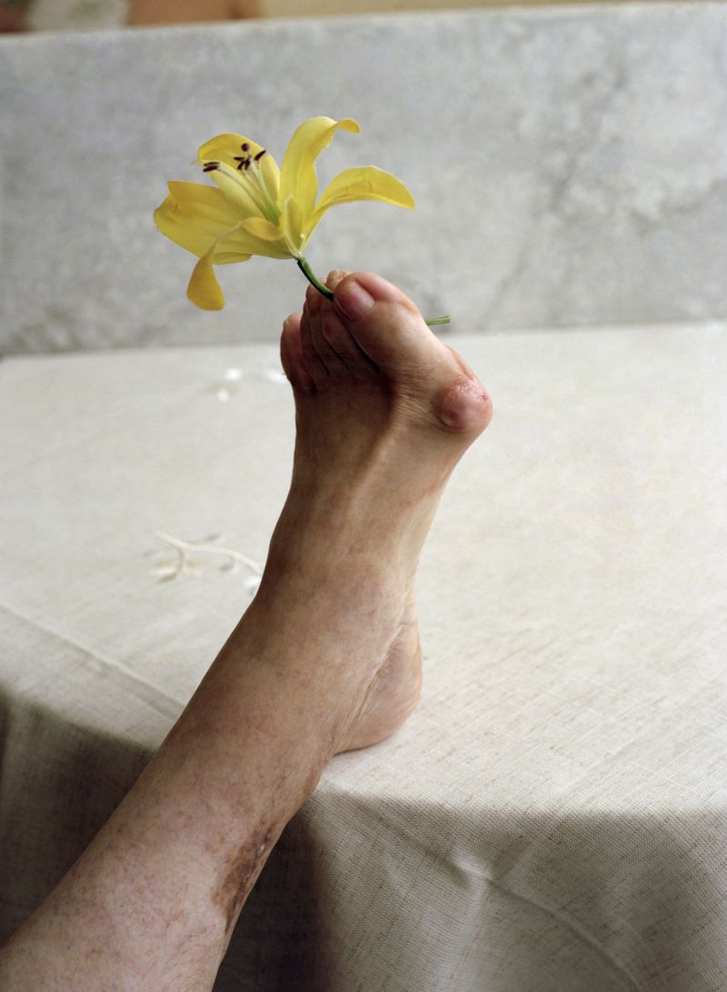 © Alfonso Almendros - Image from the Study on the construction of a garden photography project