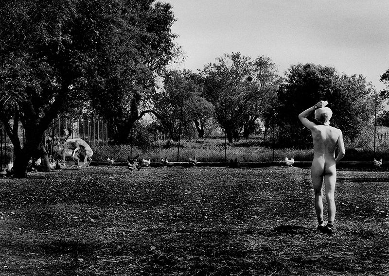 © Lily Zoumpouli - "Billy & the Deers" 2011