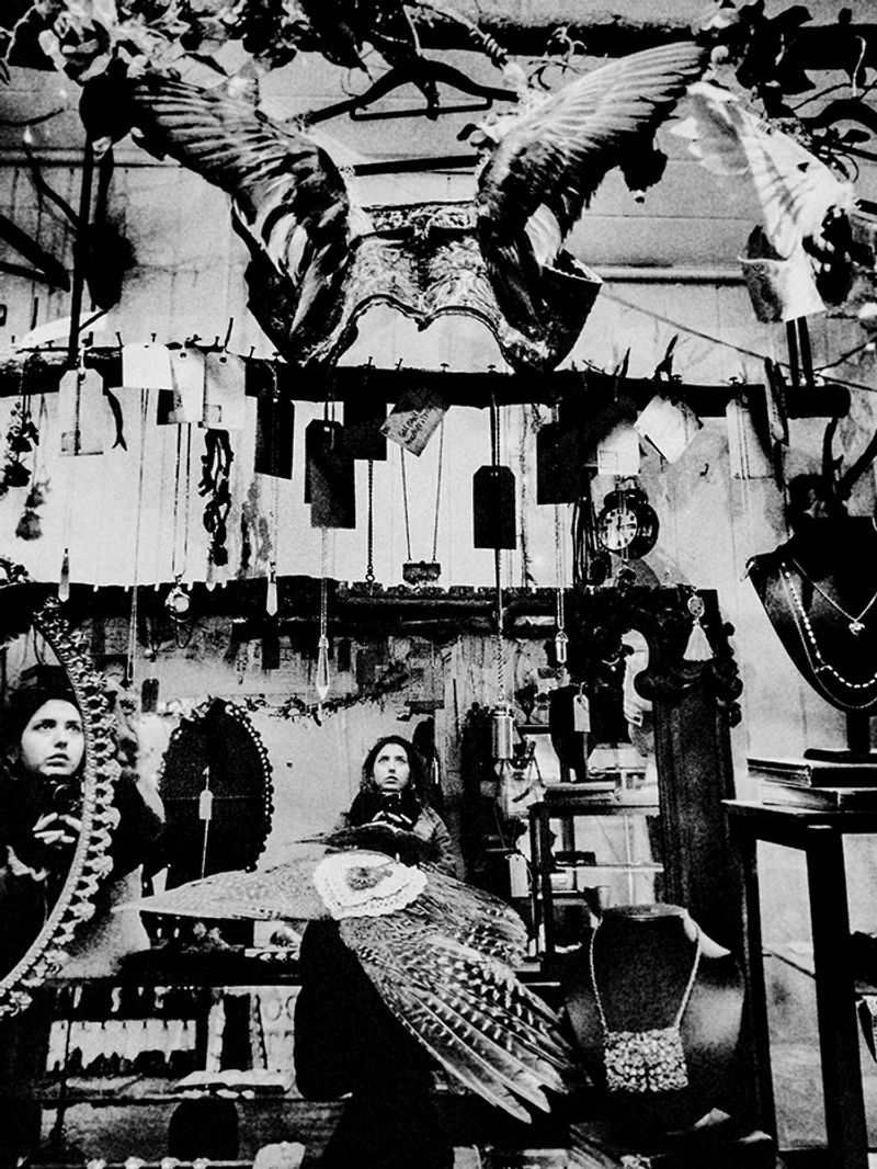 © Lily Zoumpouli - "Broken Wings & Mirrors" 2016