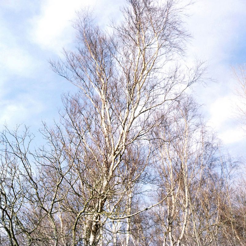 © Kate Nolan - Image from the Neither photography project