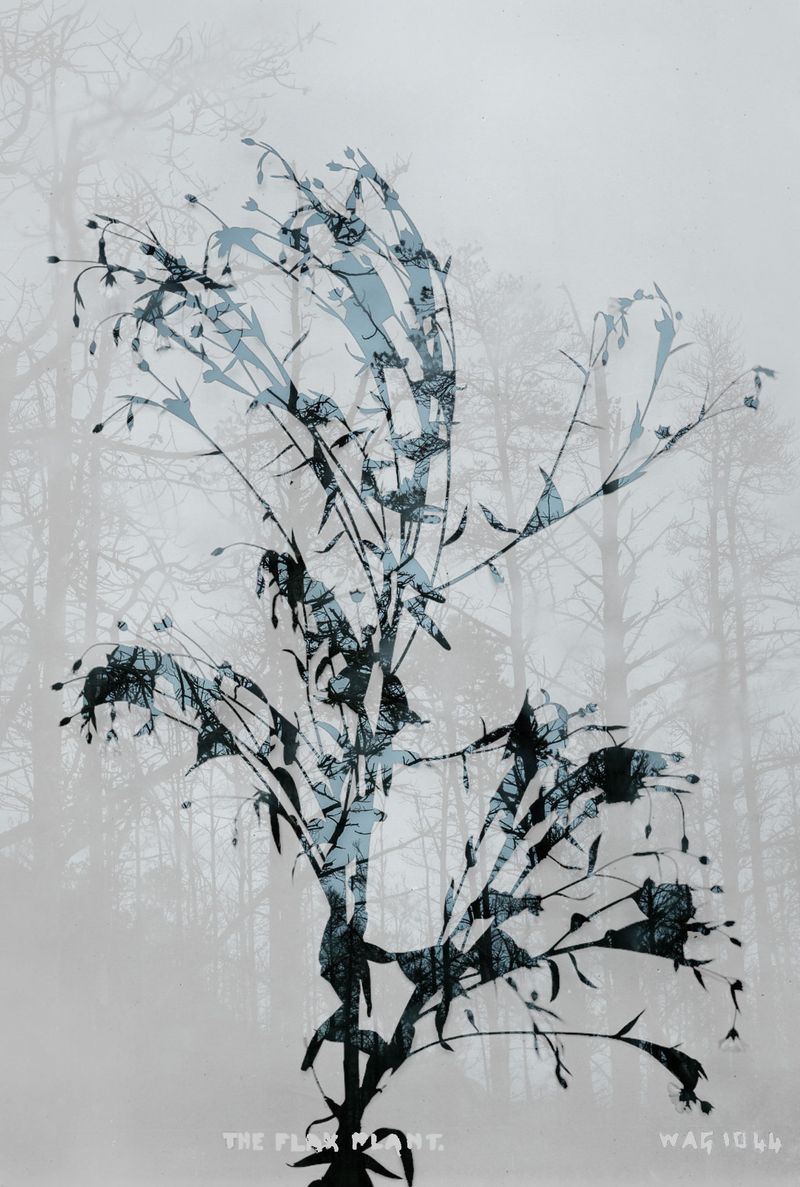 © Kate Nolan - Image from the LACUNA photography project