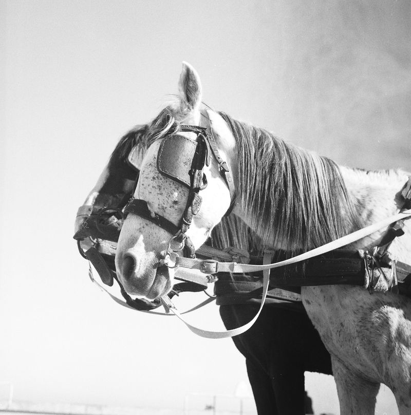 © Irene Zottola - Image from the De l'autre côté de la mer photography project