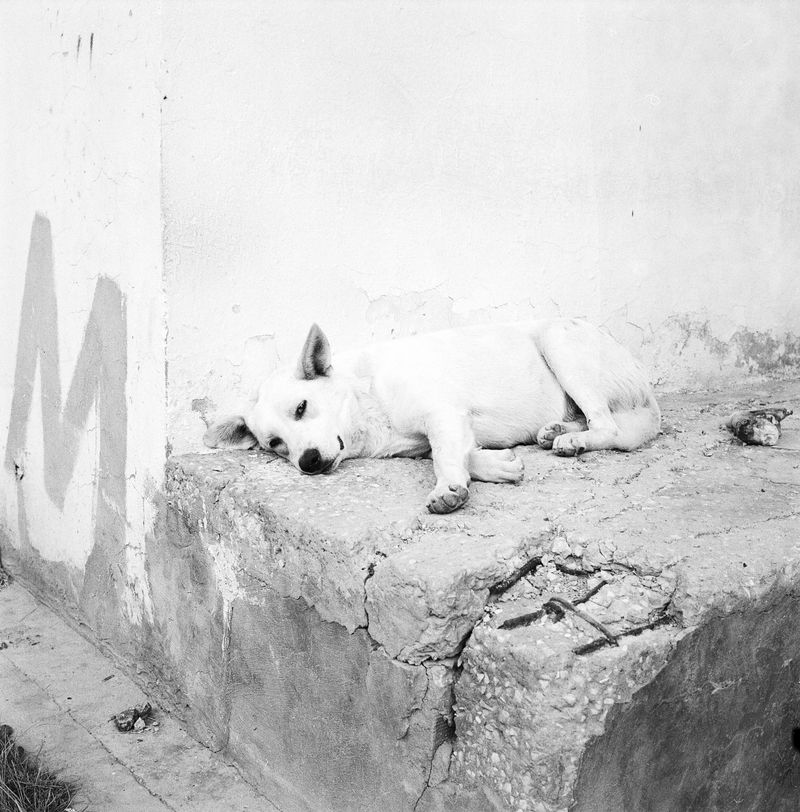 © Irene Zottola - Image from the De l'autre côté de la mer photography project