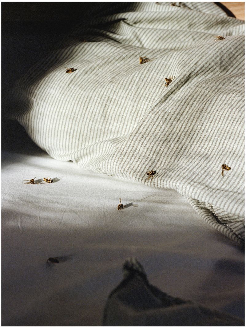 © Daniil Kolchanov - Image from the From There to There photography project