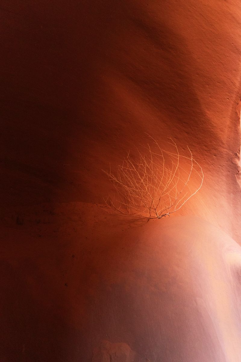 © Orly Morgenstern - Image from the The waterfall fills the river photography project