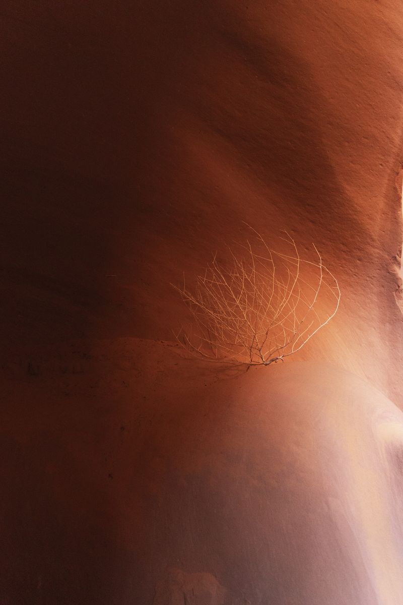 © Orly Morgenstern - Image from the The waterfall fills the river photography project