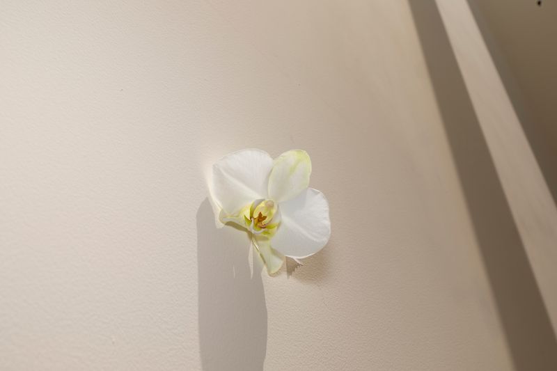 © Orly Morgenstern - Image from the The waterfall fills the river photography project