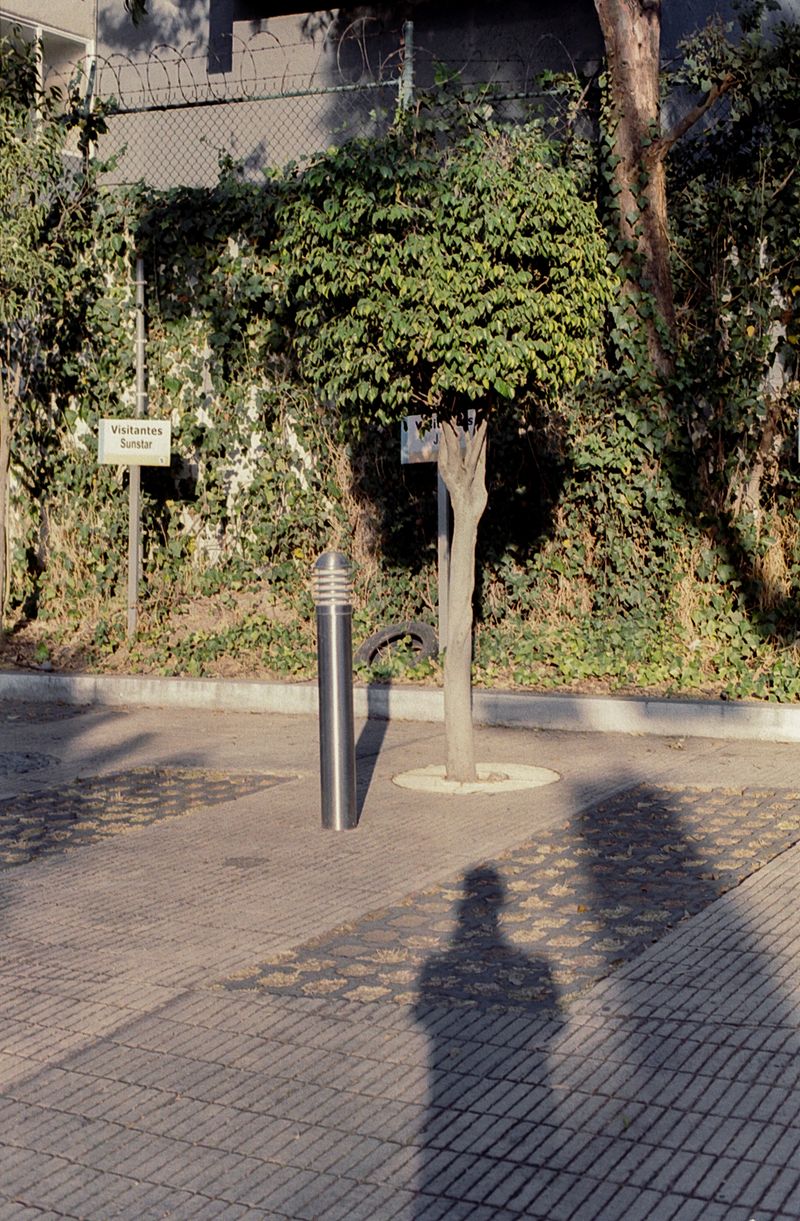 © Orly Morgenstern - Self shadow