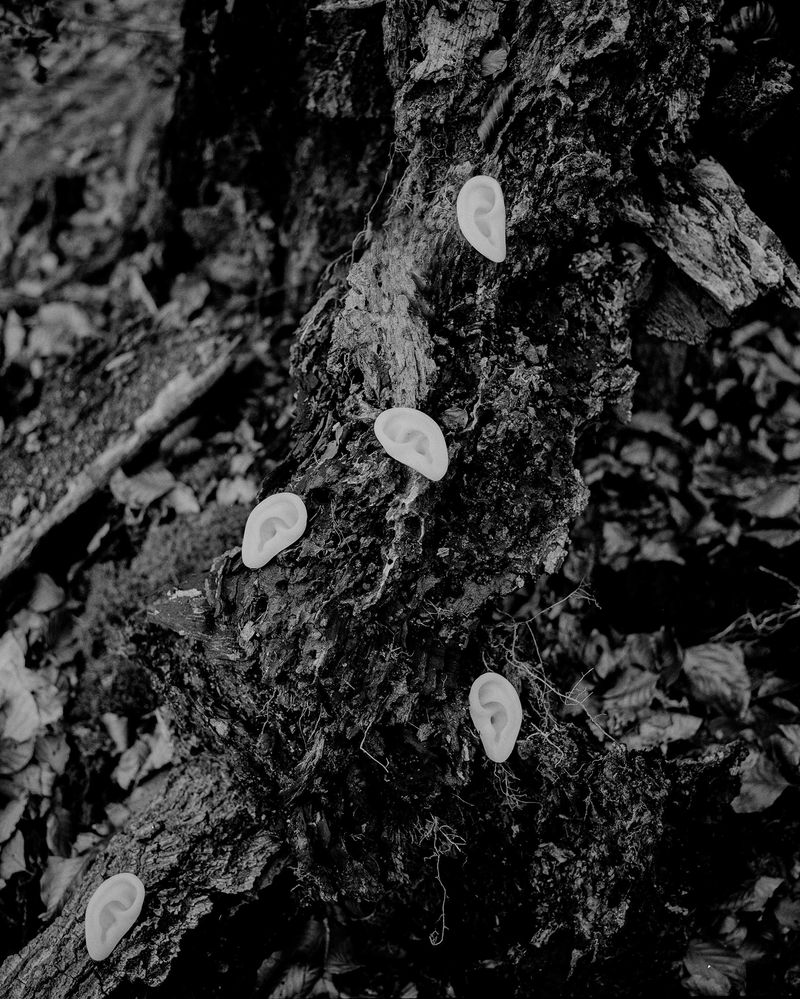 © Yiming Zhu - Image from the Summoning photography project