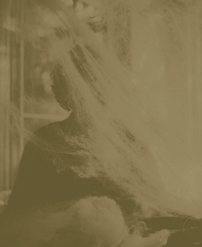 © Yiming Zhu - A Hidden Identity I