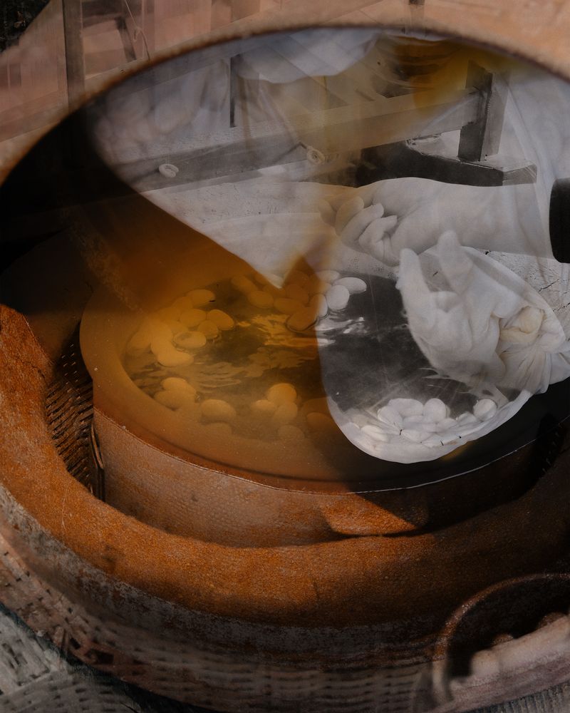 © Yiming Zhu - Image from the A Silkworm's Dreams Weave A Rhyme photography project