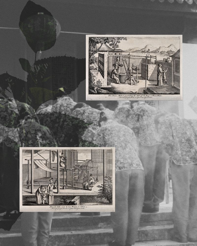 © Yiming Zhu - Image from the A Silkworm's Dreams Weave A Rhyme photography project