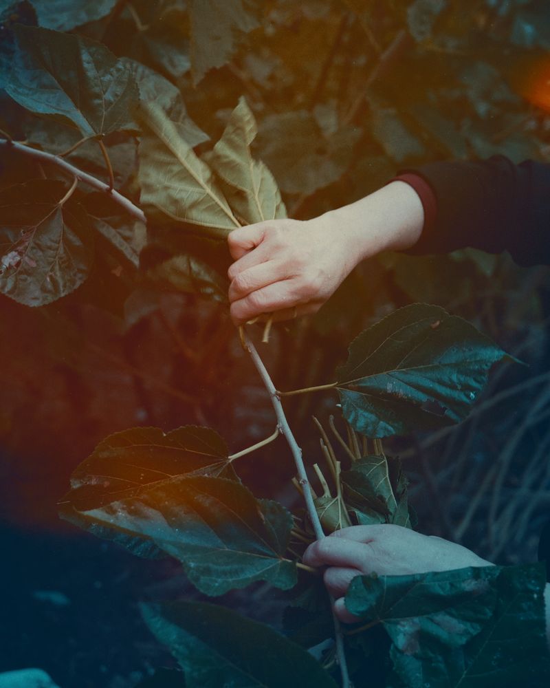 © Yiming Zhu - Image from the A Silkworm's Dreams Weave A Rhyme photography project