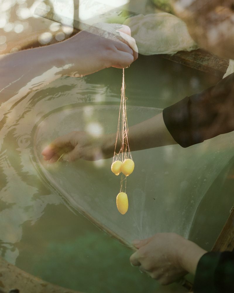 © Yiming Zhu - Image from the A Silkworm's Dreams Weave A Rhyme photography project