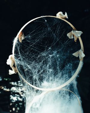 A Silkworm's Dreams Weave A Rhyme