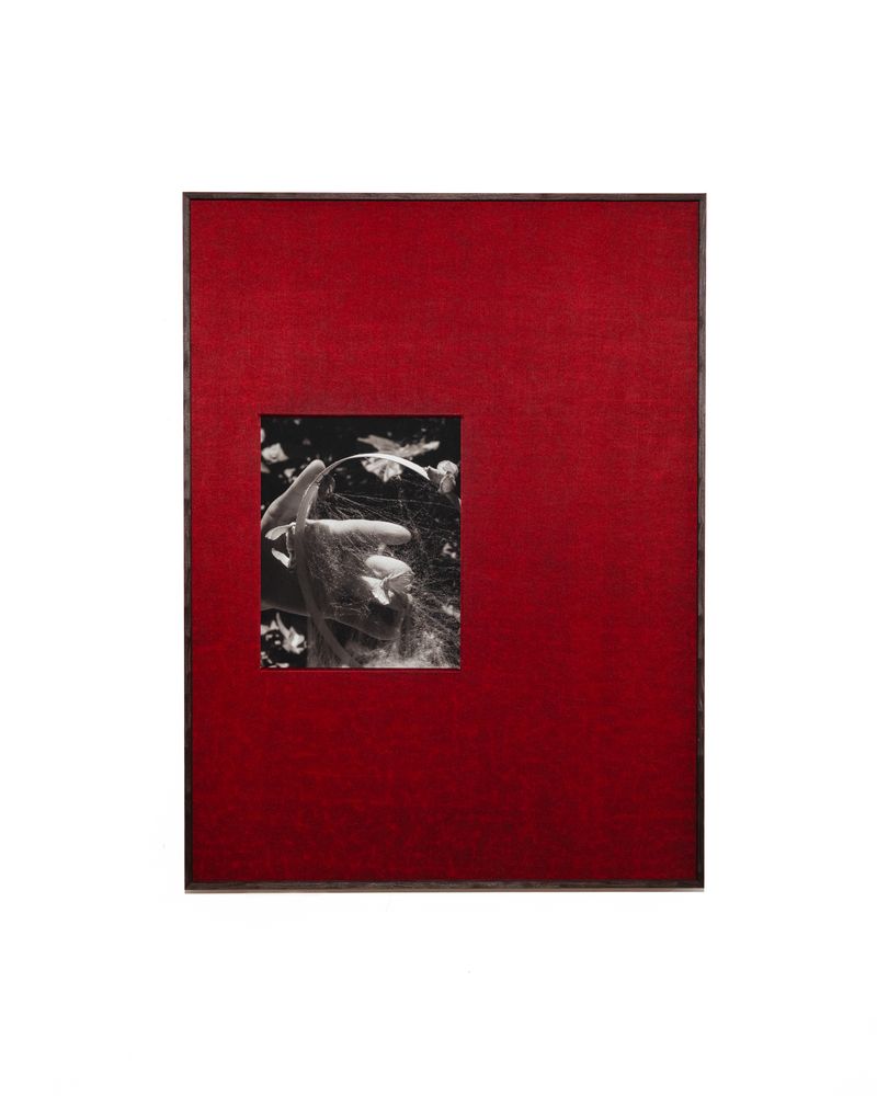 © Yiming Zhu - Skin II