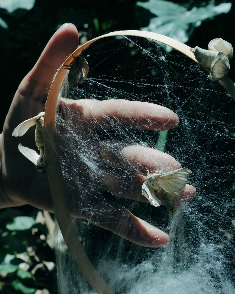 © Yiming Zhu - Symbiosis