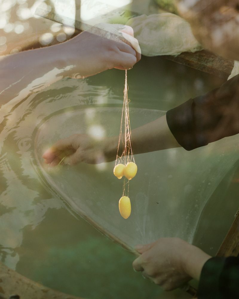 © Yiming Zhu - As Always