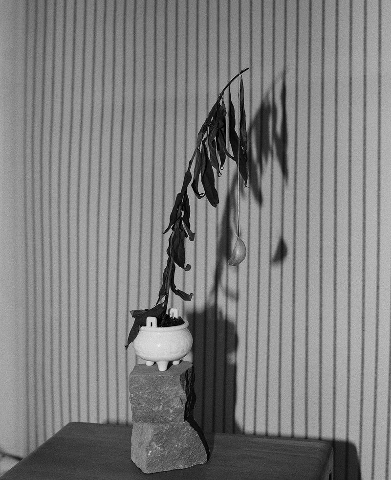 © Yiming Zhu - Image from the Summoning photography project