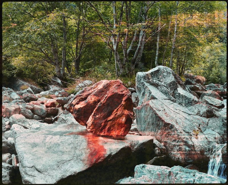 © Camila Rodrigo - Black Blood: Medium format photograph, done with expired film.