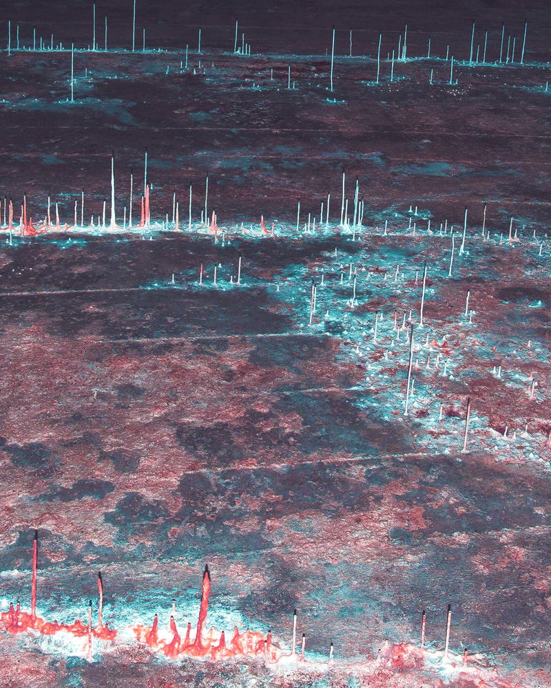 © Camila Rodrigo - Stalactites: Medium format photograph, done with expired film.