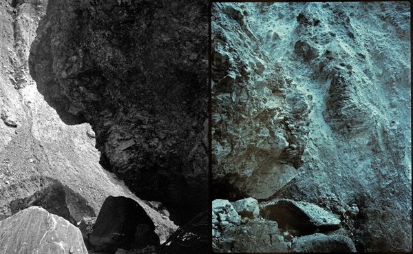 © Camila Rodrigo - Untitled: Medium format photograph, done with expired film.