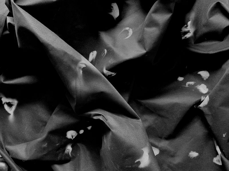 © Camila Rodrigo - Spore stamps I on 12 meter cloth.