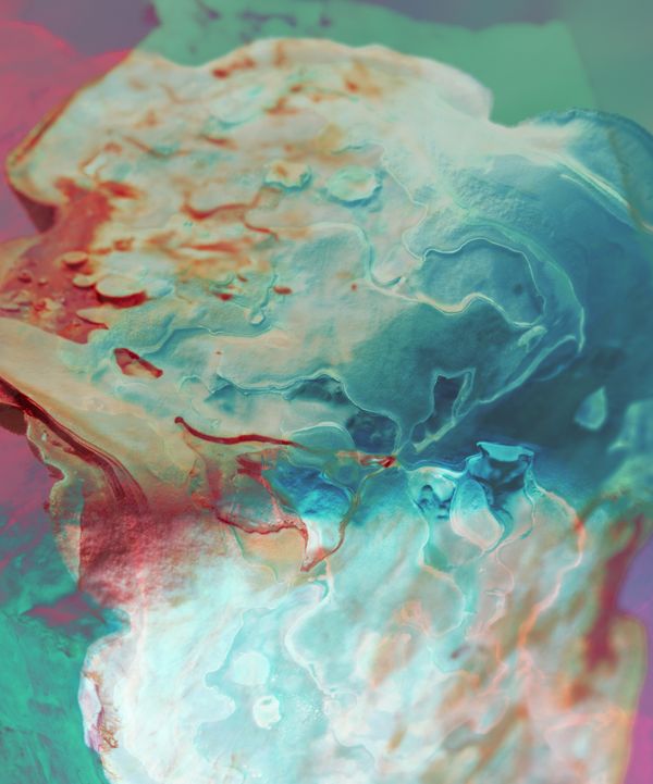 © Camila Rodrigo - mycelium, photograph altered with dyes obtained from various spores