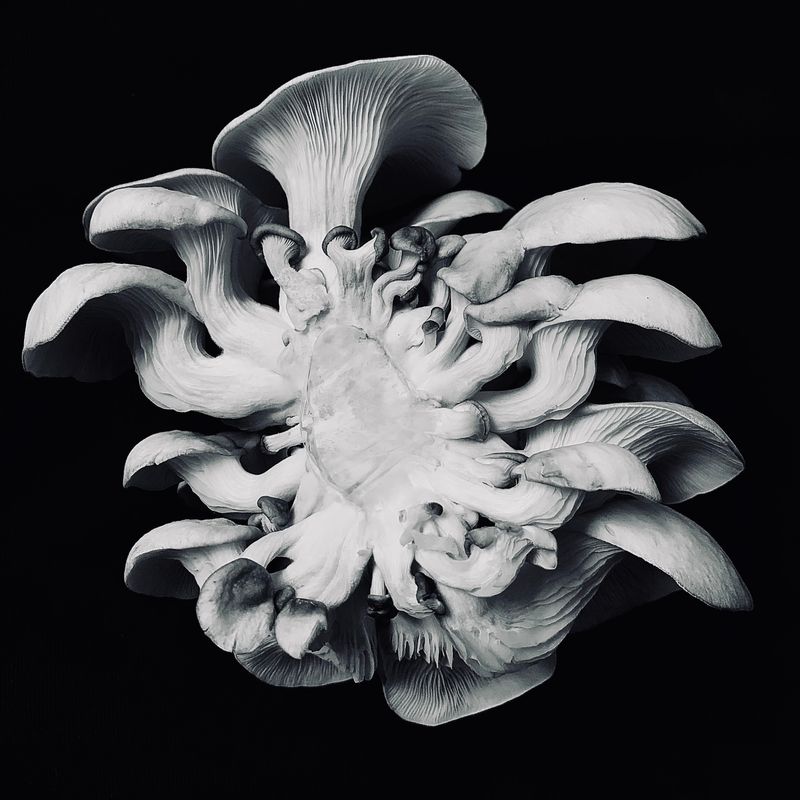 © Camila Rodrigo - New world, new perspectives.