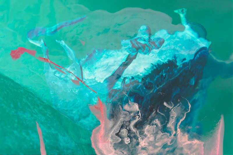 © Camila Rodrigo - mycelium, photograph altered with dyes obtained from various spores