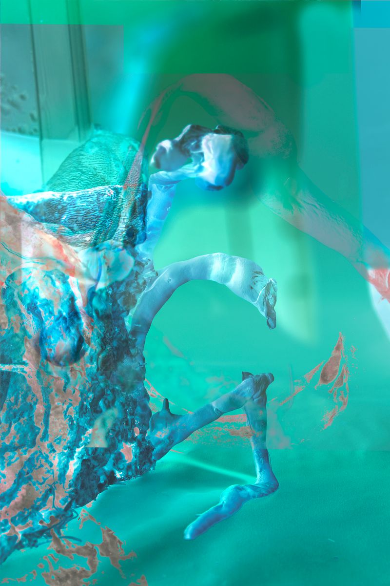 © Camila Rodrigo - mycelium, photograph altered with dyes obtained from various spores